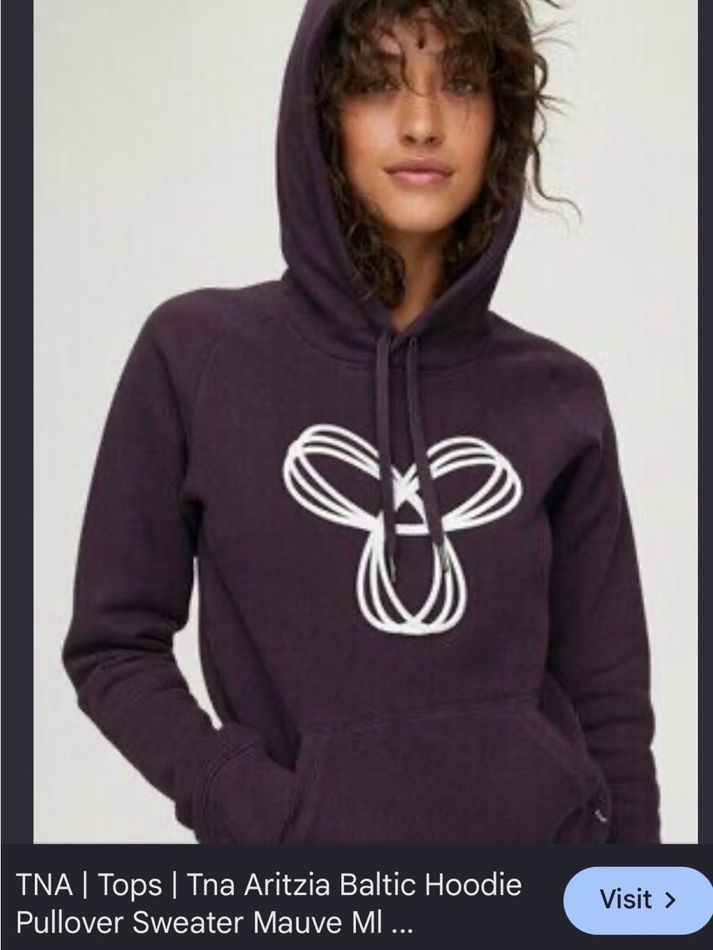 TNA Aritzia Baltic Hoodie Pullover Sweater Wistful Mauve Spiro Logo